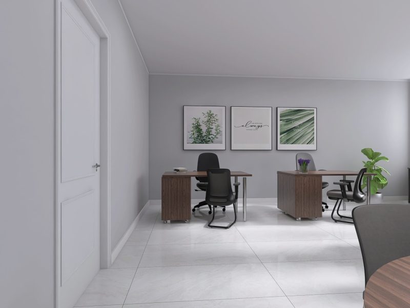 RENDERING BIELLA 6